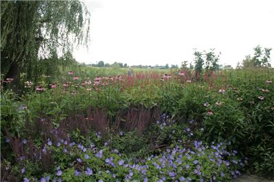 Tuinarchitect Ilse De Schuyter Essen
